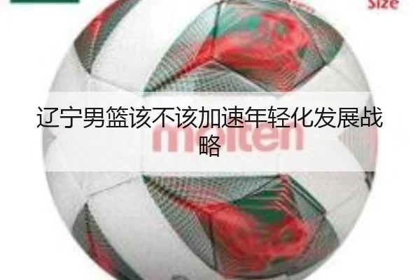 辽宁男篮该不该加速年轻化发展战略